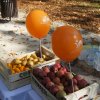 dsc00682 1280 x 852
